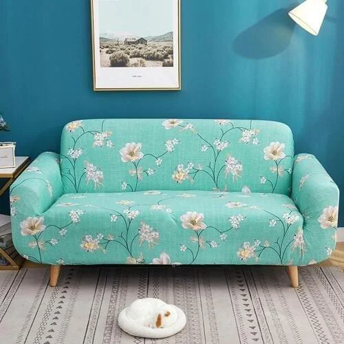 Sofa in Home