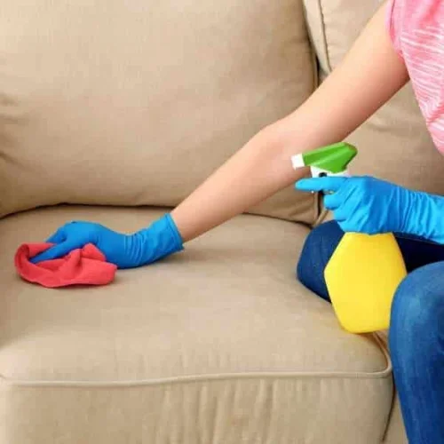 Stain removal Sofa Cleaning Image actions